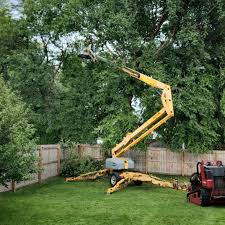 Lawn Maintenance Plans in Browns Lake, WI