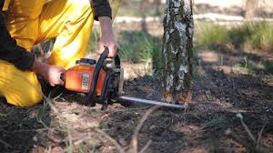Best Lot and Land Clearing  in Browns Lake, WI