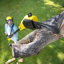 Browns Lake, WI Tree Services Company
