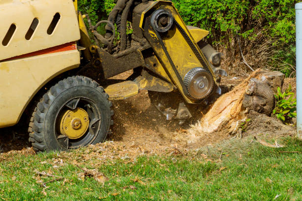 Best Lawn Maintenance Plans  in Browns Lake, WI