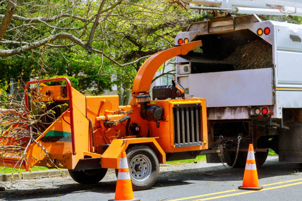 Best Arborist Consultation Services  in Browns Lake, WI