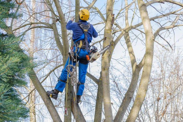 Seasonal Cleanup (Spring/Fall) in Browns Lake, WI