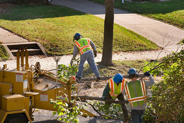 Best Aeration Services  in Browns Lake, WI