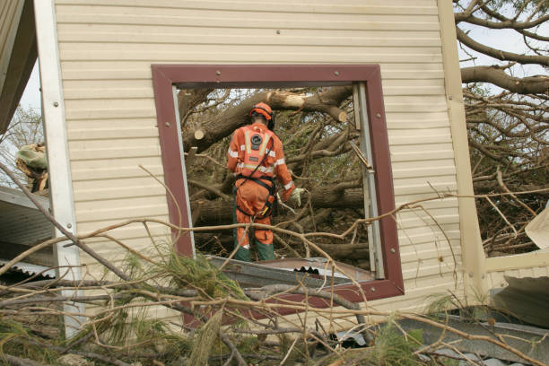 Best Tree Health Inspection  in Browns Lake, WI