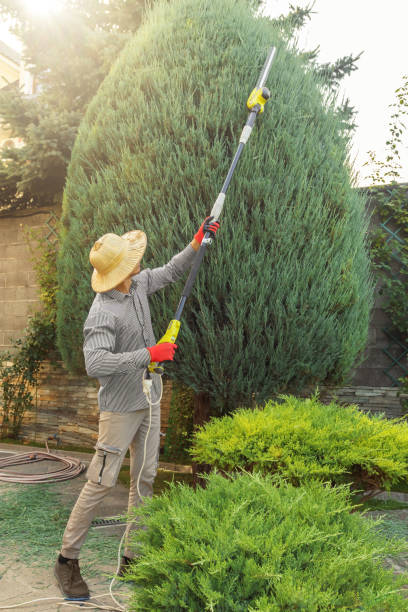 Best Commercial Tree Services  in Browns Lake, WI